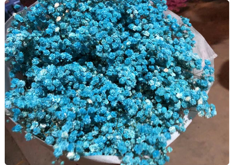 Full Sky Star, Immortal Flower, Dry Flower, True Flower Bundle, Flower Material, Gift, Flower_voghion.com