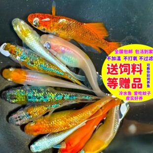 �^�����F�~��� ��ˮ�~���FС�~ С���^�p�~���������F�~�ǹ����w