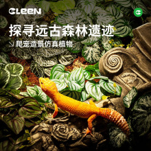 ���[�������÷����쾰�Gֲ�������،m������B��߷¶������ֲ��