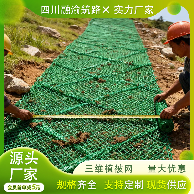 三维植被网pe聚乙烯材质绿化植草护坡工程专用加筋加固EM2345批发