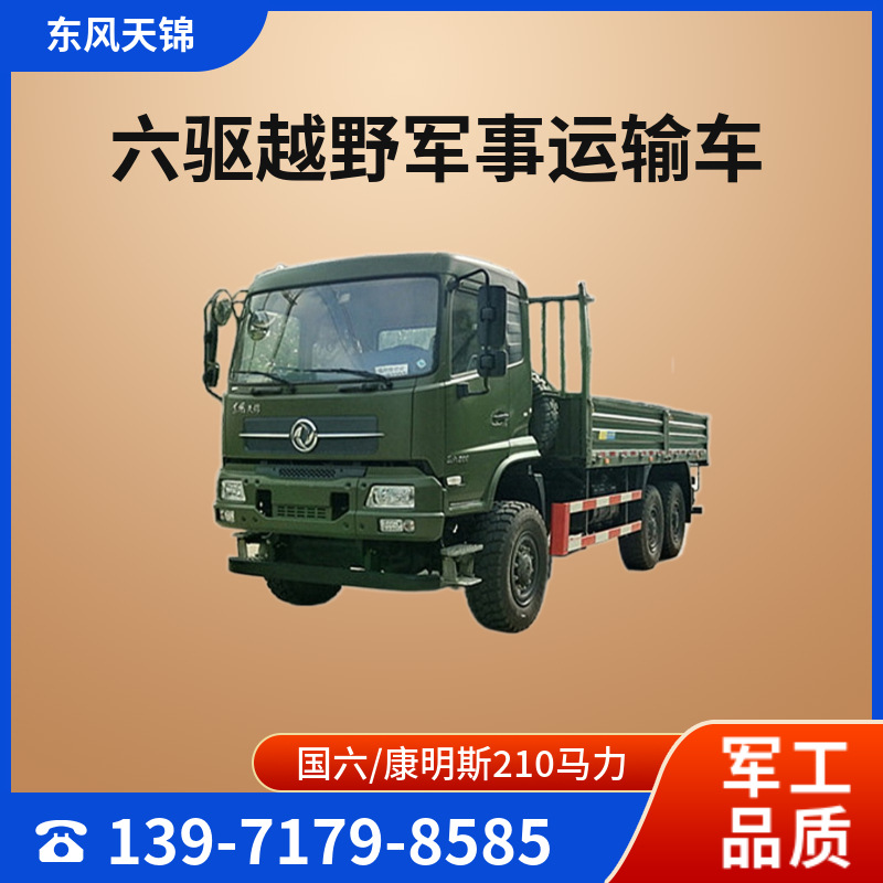 东风DFV2163GP6D1型越野载货汽车 六驱越野沙漠卡车 6*6驱动