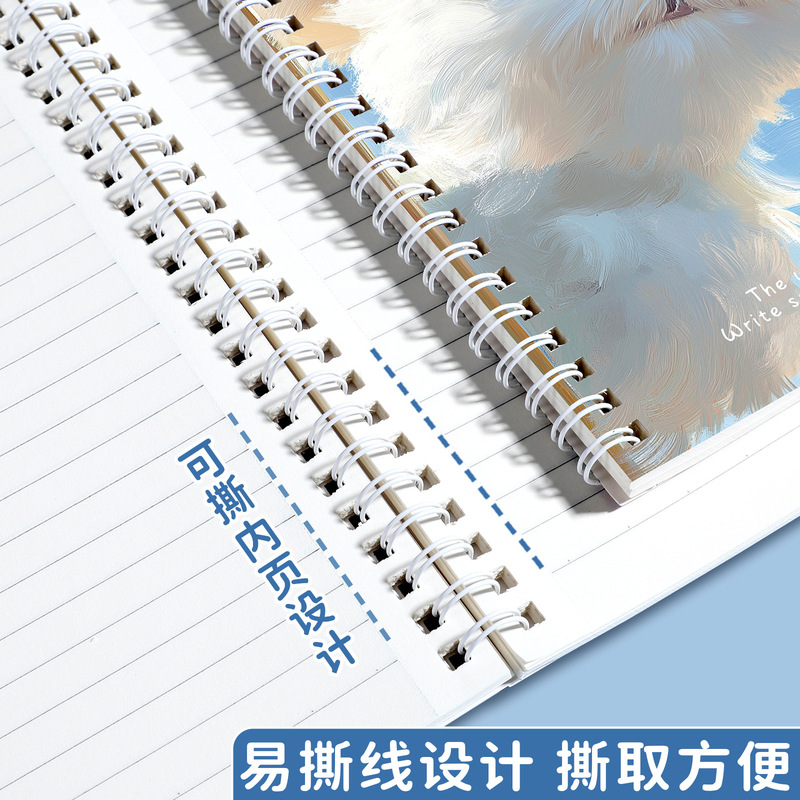 Sifang パートナーコイルブック漫画かわいい a5 ノートブック厚い水平線ノートブックメモ帳日記ノートブック卸売|undefined