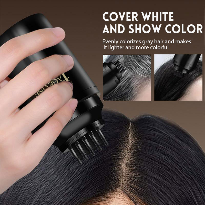 Bolígrafo de peluquería PAGE VINE transfronterizo para cubrir temporalmente las canas sin dañar el cabello en casa