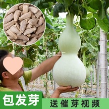 ����J�N�Ӿ��ͺ��J�ѷN�����Դ�ȫ�ˌ�Λρ����������С���J�N��