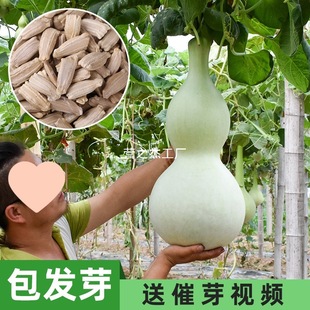 ����J�N�Ӿ��ͺ��J�ѷN�����Դ�ȫ�ˌ�Λρ����������С���J�N��