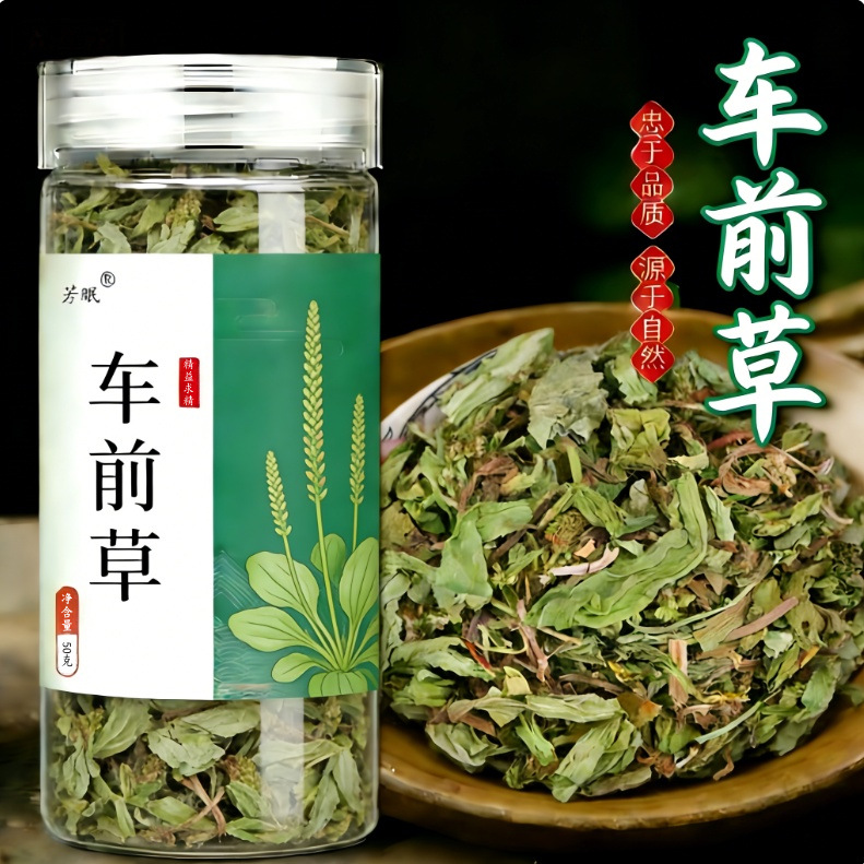 Dried Plantain Herb Che Qian Cao 40g Natural Sun Dried Whole Plant for Herbal Tea and Decoction overview