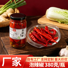 四川泡辣椒瓶老坛黄姜川菜配料腌制盐水泽泡炒菜餐饮调料批发代发