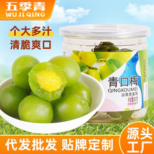 ֭÷200gbˬ÷T÷ˮʳ