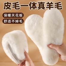 真羊毛鞋垫冬季保暖女加绒加厚软底舒适久站不累男吸汗透气防滑