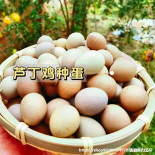 ���l�J���u�ܾ����ɷ��������u�W�t�u�R���u�N����ϵ׃�����߻�