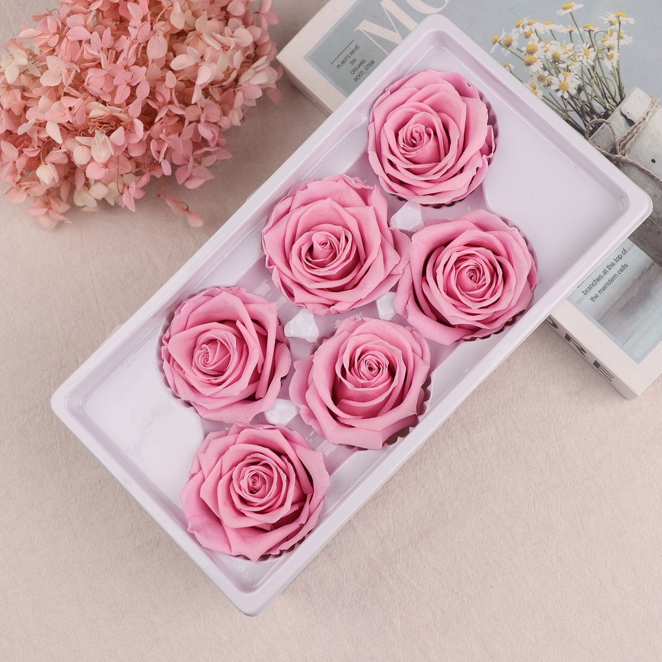 Rosa Preservada A+ de 5-6 cm, Flor Real Seca, Regalo DIY, Venta al por Mayor de Yunnan, Ramo para el Día de la Madre, 520