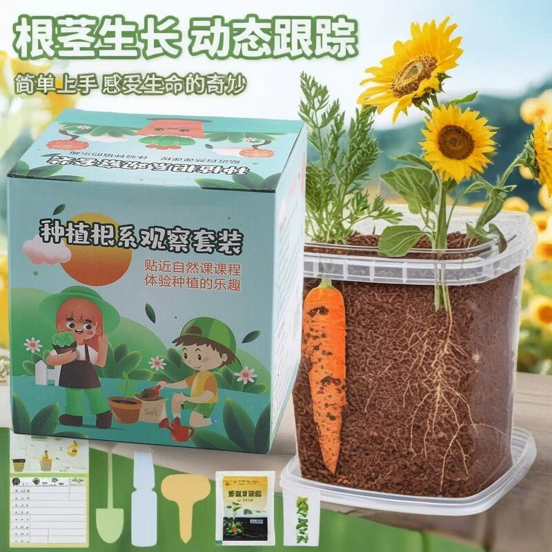 Children's Planting Kit for Small Potted Plants, Plant Observation, Root Growth, Germination, Vegetable Observation Box for Elementary School Students and Kindergarten Children's Planting Kit for Small Potted Plants, Plant Observation, Root Growth, Germination, Vegetable Observation Box for Elementary School Students and Kindergarten