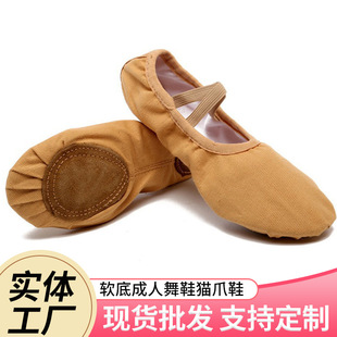 Manufacturers New Dance Shoes Children's Ballet Practice Shoes Women's Latin Dance Lace-up Free Soft Sole Adult Dance Shoes Cat Claw Shoes