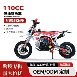 其他摩托车;沙滩车;其他电动车