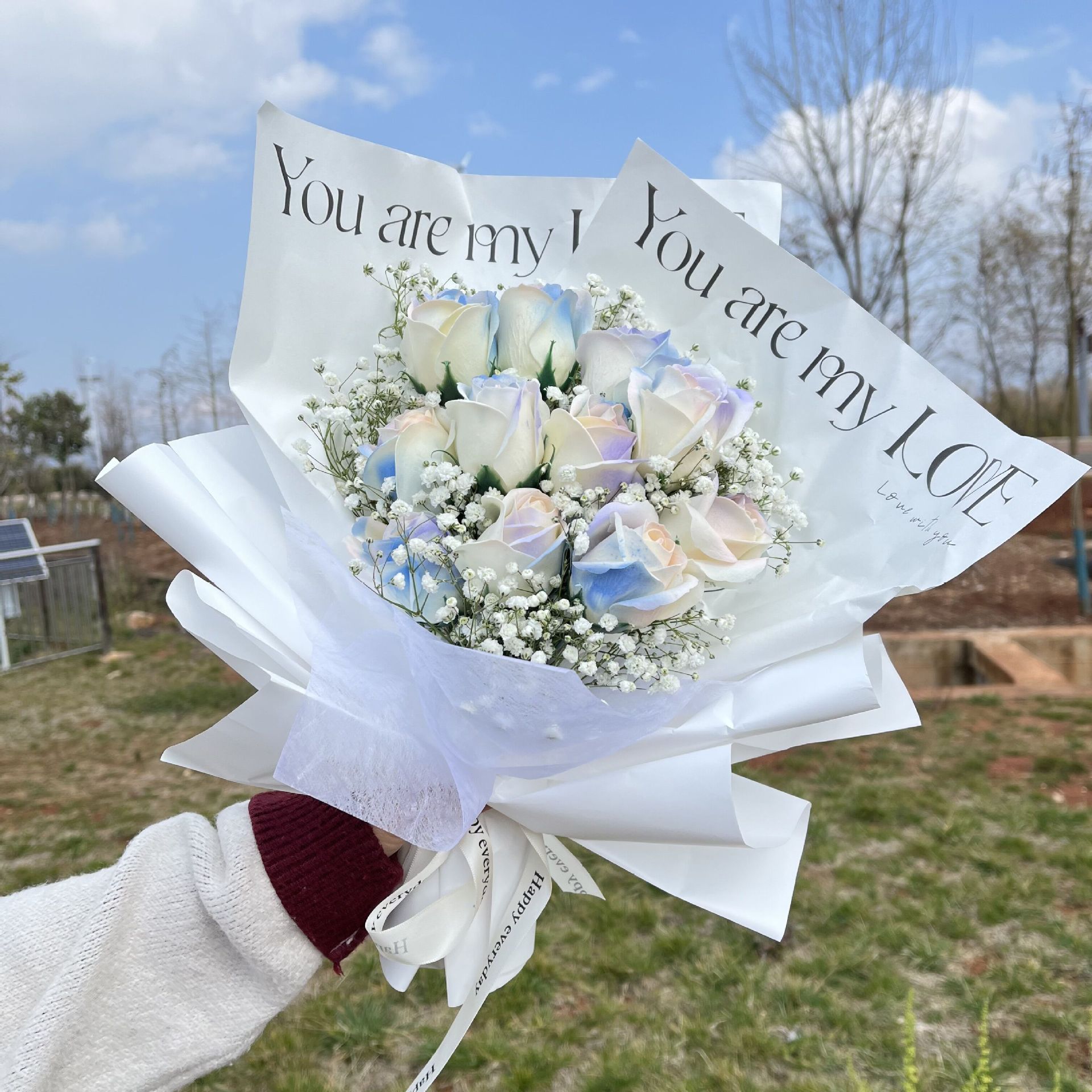 O1CN014Q6ve22FwP98S7PoO_!!3423