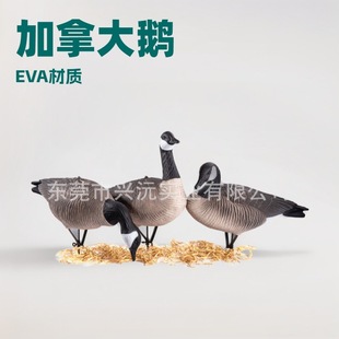 �羳����EVAܛ�z���ۯB���ô��Ä�Z���C�T�D����@�־��^�ZDecoy