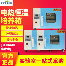 上海叶拓 303-2A/303-2BA 微生物培养箱 恒温箱 电热恒温培养箱