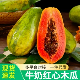 块茎类;其他水果;苹果