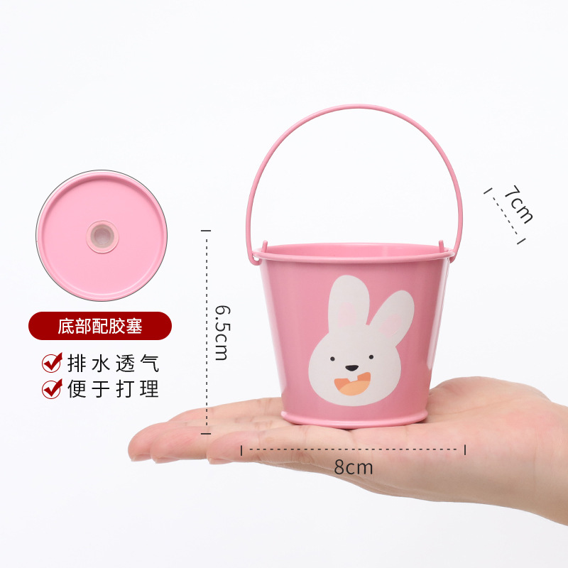 Chậu Cây Resin Chậu cây mọng nước hoạt hình mini, chậu sắt để bàn, trang trí ban công và tiểu cảnh (RG-129)