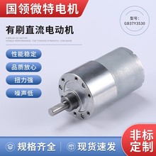 深圳国领厂家直供批发供应6V12V24V微型直流减速电机齿轮减速马达