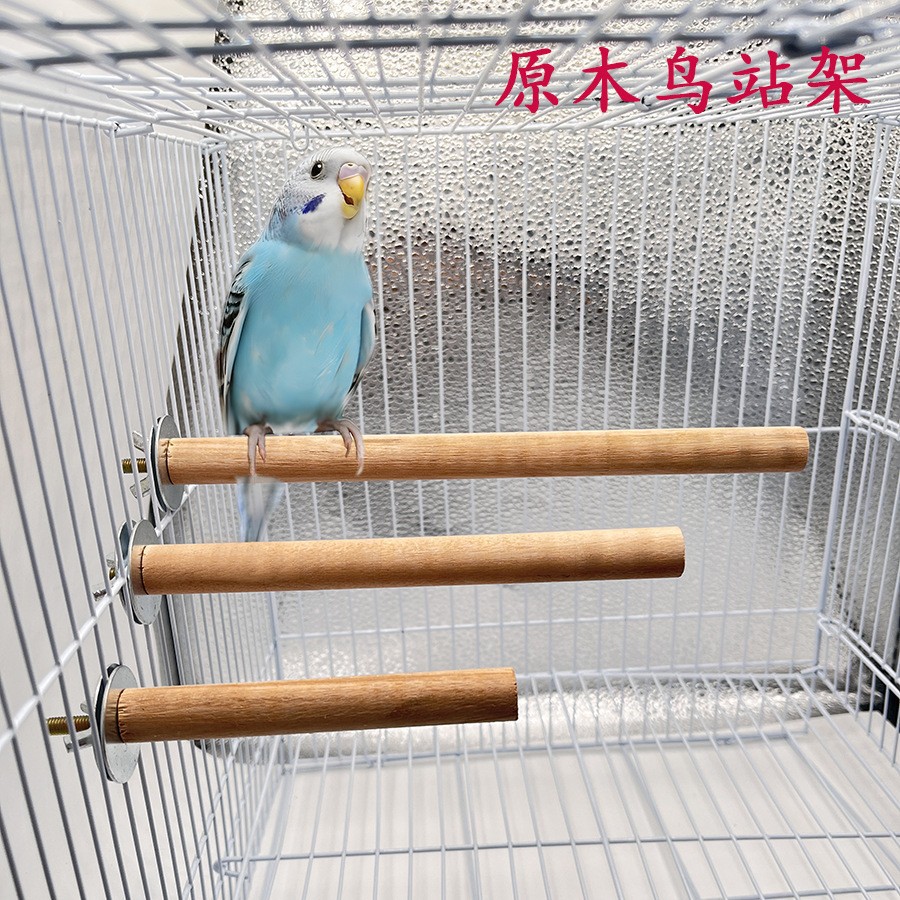 Percha de Madera para Loros, Barra Afiladora de Uñas para Jaula de Aves image 2