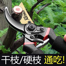 ���M���SK5��֦��ʡ�����ù���@�ִ�֦���޽ӻ�ˇ�@ˇ������