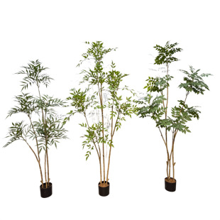 �羳����Gֲ�[���ϙ��ٻ����컨 �ز�軨����� ������������