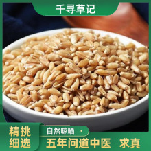 正宗浮小麦中药材旗舰500g店浮麦子浮水麦浮小麦的功效甘草大枣茶