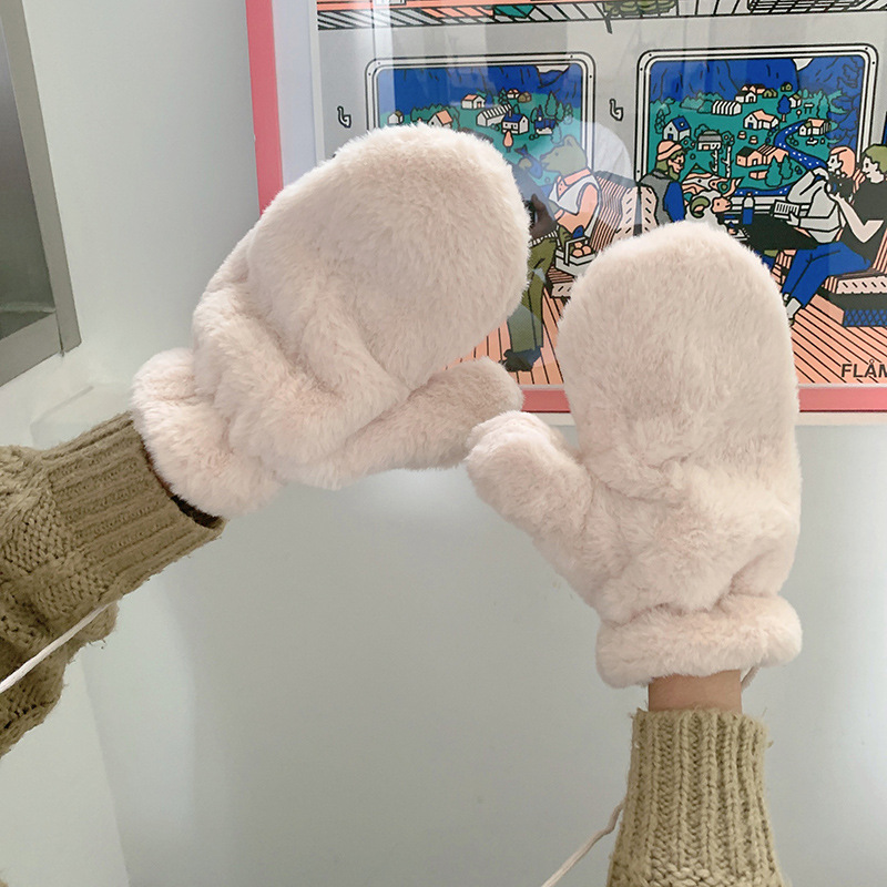 Guantes de felpa de dibujos animados de color sólido estilo INS para mujer, guantes gruesos de invierno para ciclismo para estudiantes, forrados con forro polar, cálidos y resistentes al frío, guantes de dedos completos, estilo INS.