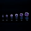 5mm pair (3A purple zirconium diamond) [with silicone earplugs]