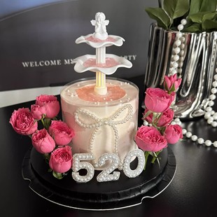520 Pearl Valentine's Day Wishing Pool Bag Little Angel Beautiful Pearl Bow Couple Confession Plug-In