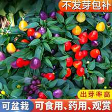 ߲NN^pʳrҲ˵̨߲˷N