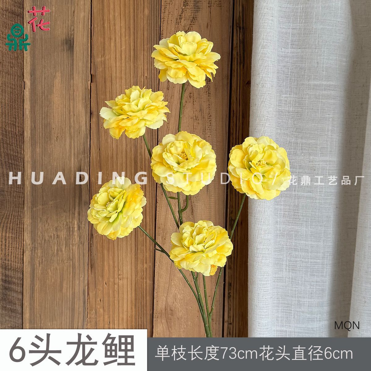 Cá Chép Rồng 6 Đầu MQN - Vàng