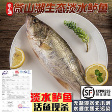 �ӳ�O��΢ɽ�����B��ˮ�|�~���r���~�F�����|�~�|��ˮ�a�������~