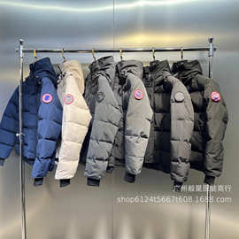 25秋冬款大鹅12款立领连帽羽绒服户外保暖男女同款外套