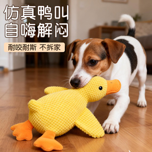���ﹷ�␞��߰l�����ҧ��������������˽␞������������