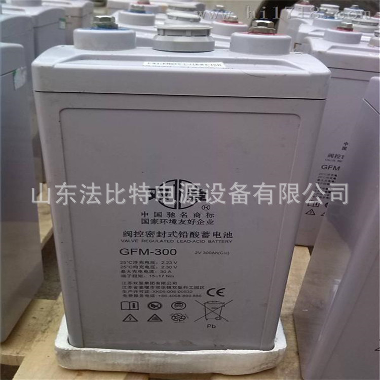 双登铅酸蓄电池GFM-300电厂后备电源2V300Ah 质保3年 全新含税