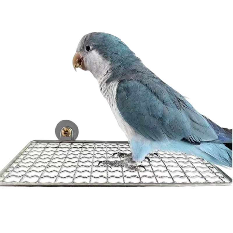 bird perch供应鹦鹉厕所小鸟跳台鸟外出笼子不锈钢站台鸟笼