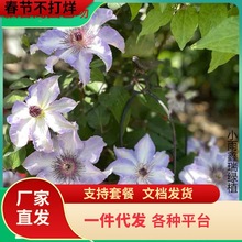 ����ʿ�F��ɏ���������绨���̨����ͥԺ���ļ������׻�Gֲ��