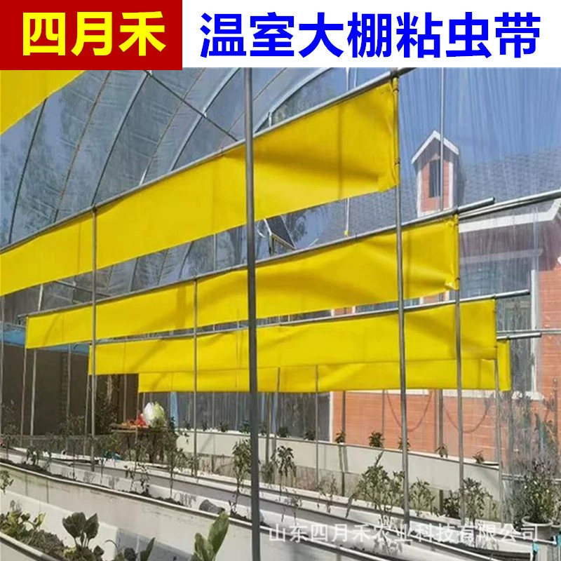 Трансграничная внешняя торговля Двусторонняя липкая червь с желтым синим сельскохозяйственным фруктовым деревом садовое лесное дерево ловит насекомых лента для защиты сельскохозяйственных культур