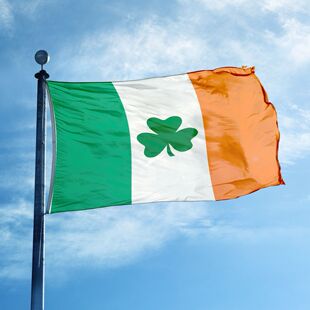 �۠��m�����}������˹����~���b��춨�� 100D��]300Dţ��