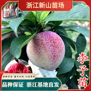 ������ �S���������������´�ͩ�l�d��������� ��÷�������