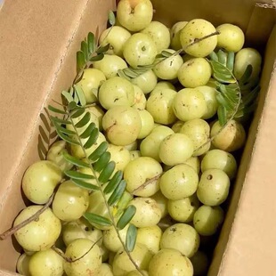 �V���͸ʹ����r��ժҰ����ʹ���ˮ��������ţ�ʹ��͸̵��ϙ��