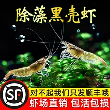 �ښ��r�~�׳��幤���r�ݸ������^�p�r�r�����w�����ˮ�r