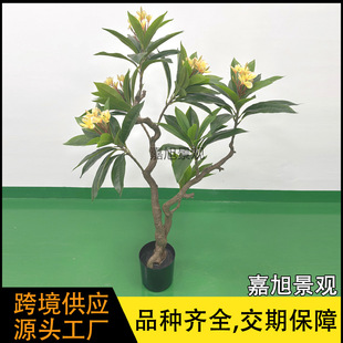 �����u���������� ����ֲ�ﲼ�����҃ȿ͏d�b������u�������쾰