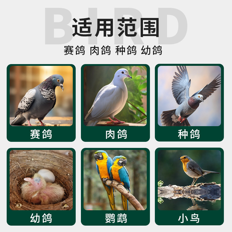 鸟用沐浴盐百草鸽洗澡专用除味浴粉夏季降温赛鸽鹦鹉鸟类养殖用盐|undefined