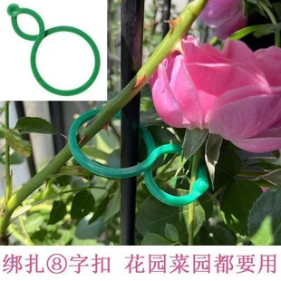 Vine Holder Plastic Gardening Eight-shaped Buckle Plant Planting Holder Climbing Vine Plant Stem Support Holder