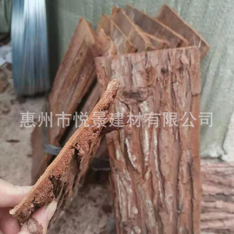 批发骨科真树皮中医院杉树皮固定真树皮骨科杉树皮医用杉木皮天然