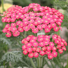 ���lǧ�~��N�ӹ��̾G���^�p�@����ݻ��ѻ��R�^�p��䏲ݻ��ܷN��