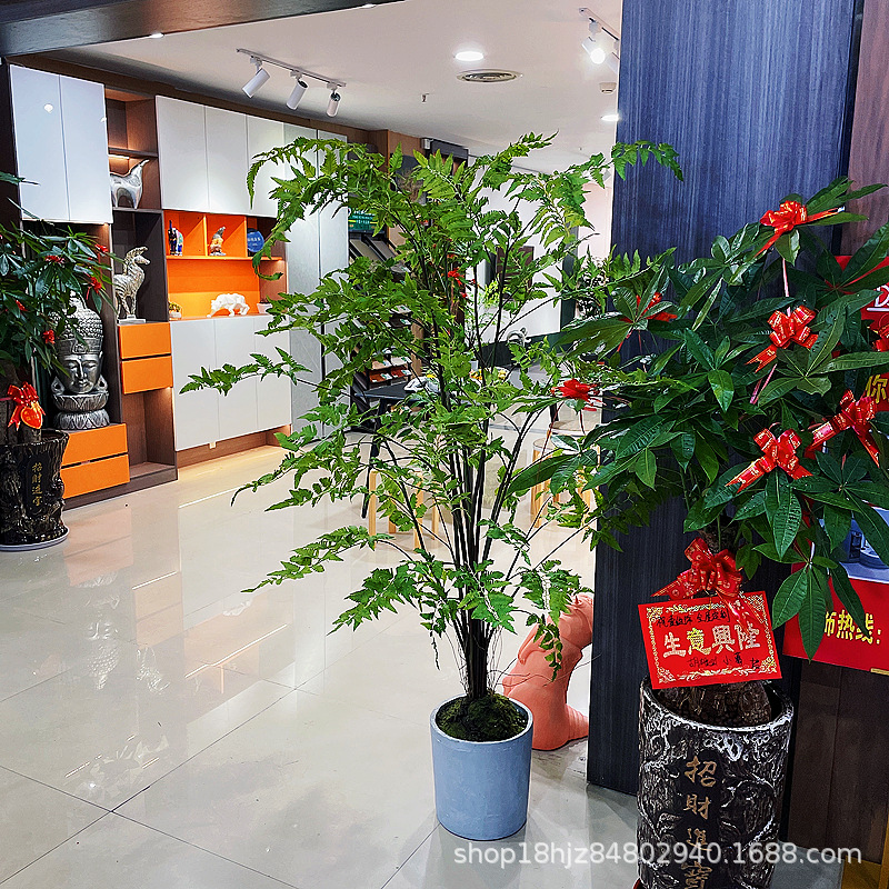 104618cadc3914c30038ace628fffa